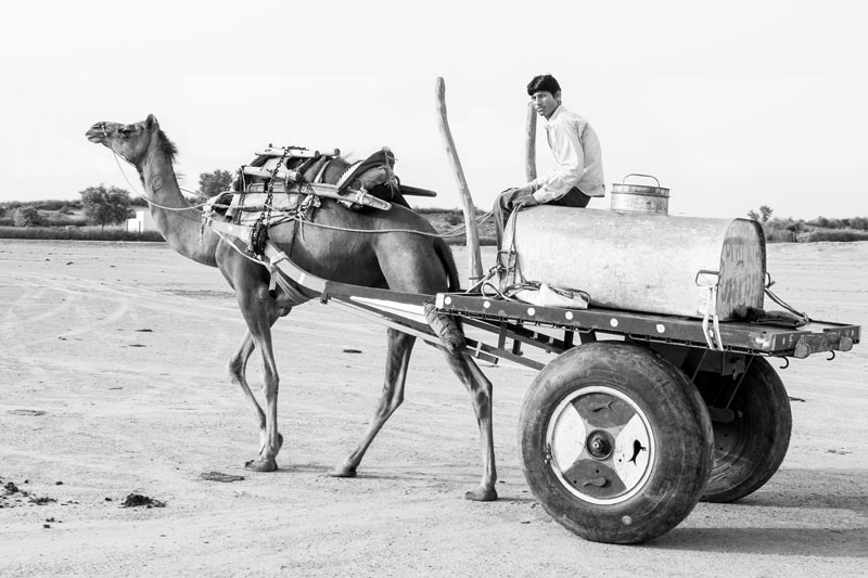 Home delivery of water on camel cart for a service charge as an adaptation to rural water challenge in Bikaner district, Rajasthan